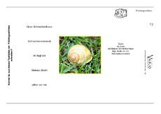 Vario-Fruehlings-Elfchen-13.pdf